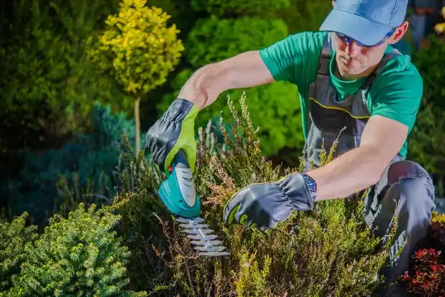 landscaping services Gideon